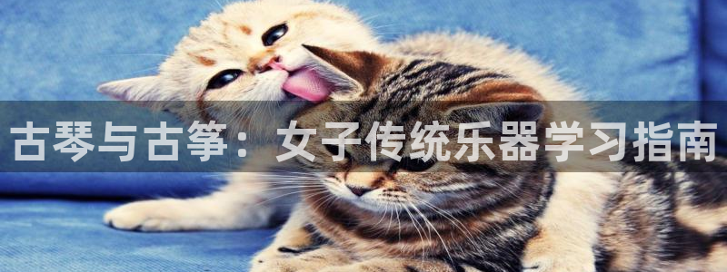 凯发唯一官方网站