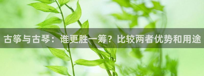 凯发旗舰客户端