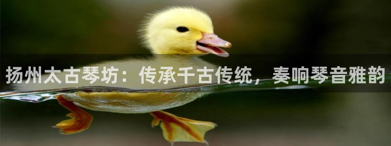 凯发国际网络平台网址