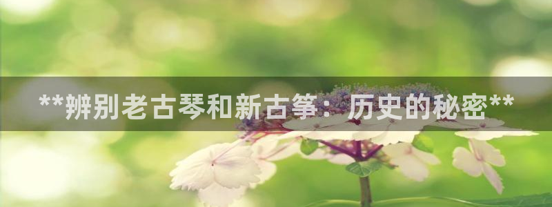 凯发网娱乐官网国际