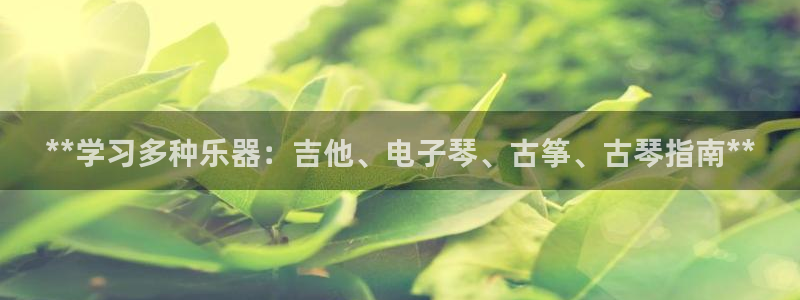 凯发网娱乐官网国际