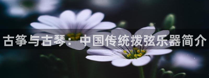 凯发平台8