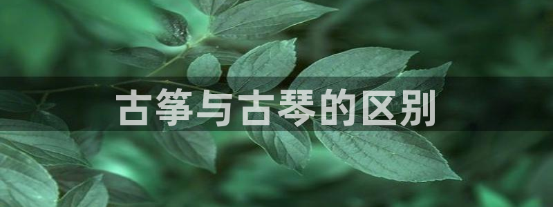凯发国际可靠送38元