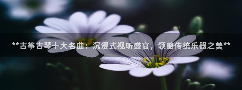 凯发娱网址是什么
