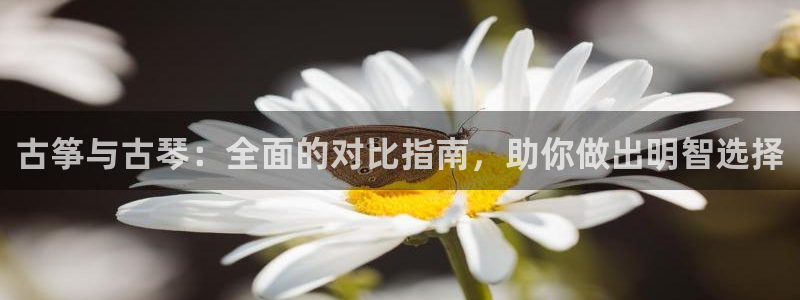 k8凯发官方找就送38