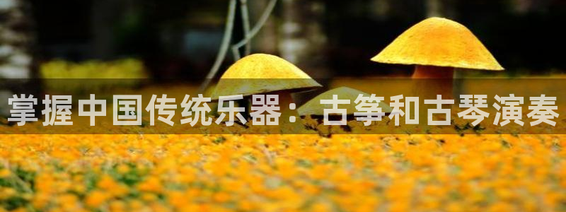 凯发k8娱乐要访问kf6819