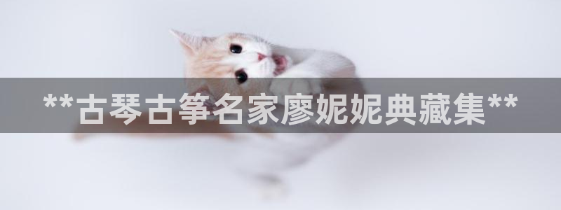 凯发国际是什么投资平台