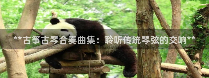 凯发注册手机版官网