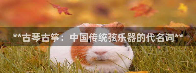 凯发k8娱乐平台能提现吗