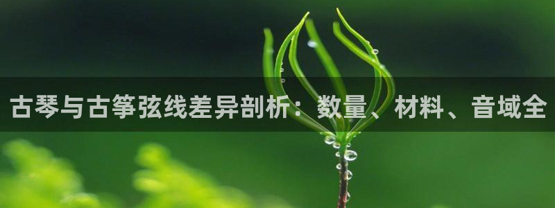 凯发k8网站是多少