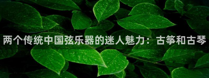 凯发官网入口首页