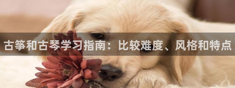 凯发k8娱乐平台