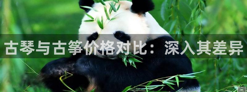 凯发国际娱乐官网k8