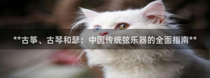 凯发手机客户端下载