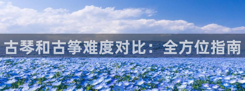 凯发网网站