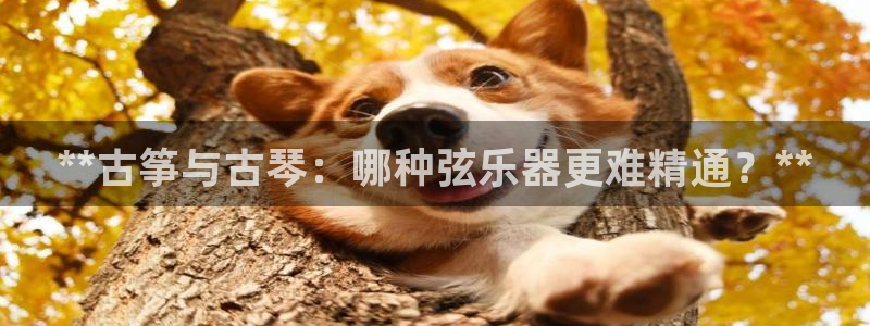 凯发k8娱乐倒闭了吗