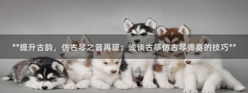凯发官网|认准kpm