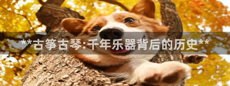 凯发官方网站是多少