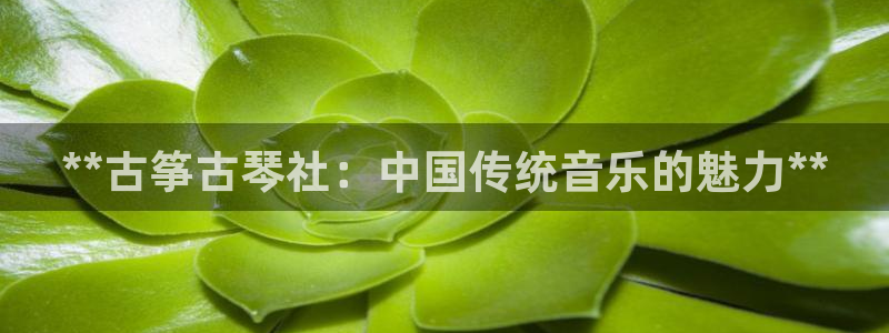 凯发k8旗舰店