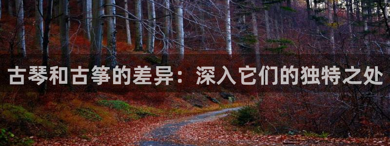 凯发官网地址