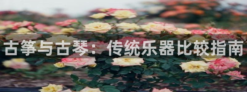 凯发国际网站首页