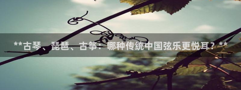 凯发app可信吗