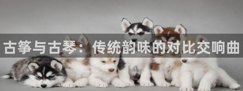 凯发国际网址官网查询