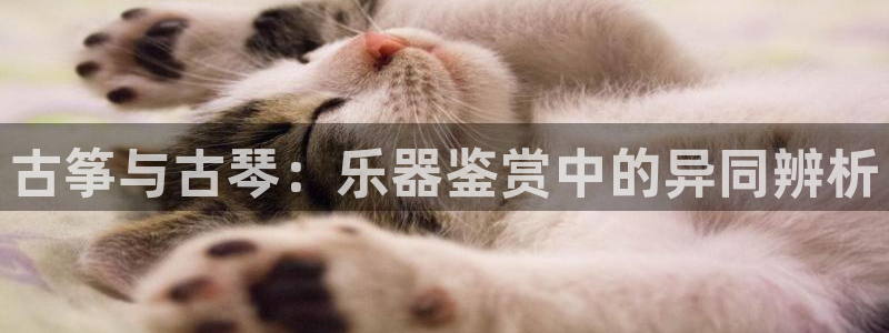 凯发国际官网下载