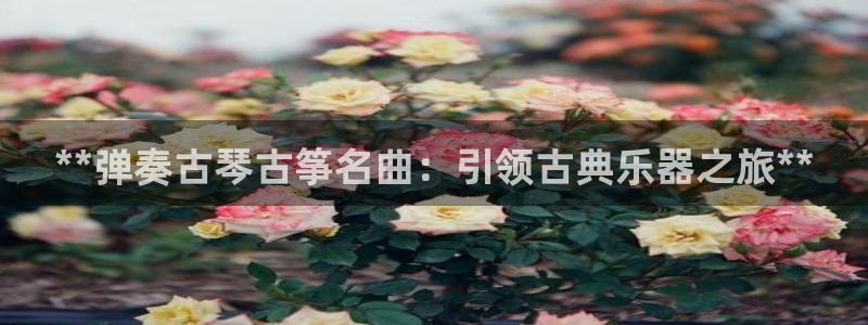 凯发k8娱乐|k808.vip