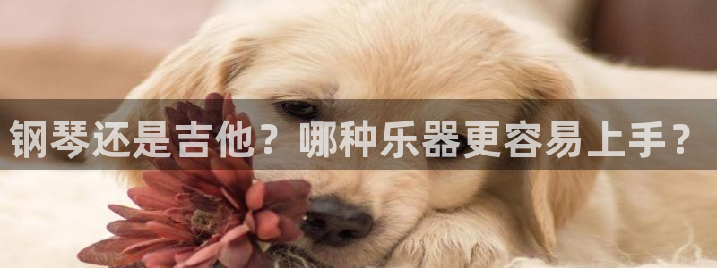 凯发app官网