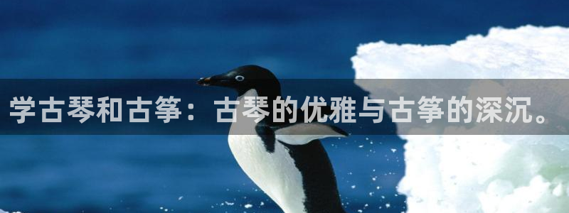 凯发k8国际下载
