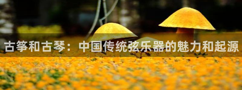凯发国际平台