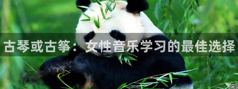 凯发k8国际下载