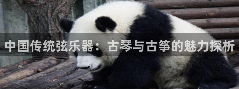 凯发国际可靠送38元