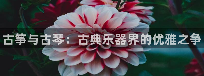 凯发官网地址