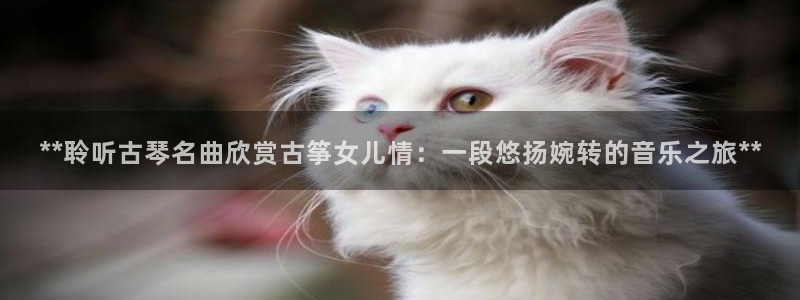 凯发K8旗舰厅