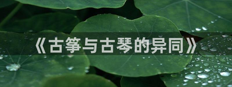 凯发国际怎么赚钱