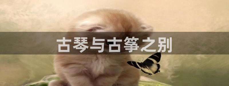 凯发国际是什么