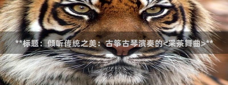 凯发正规网站