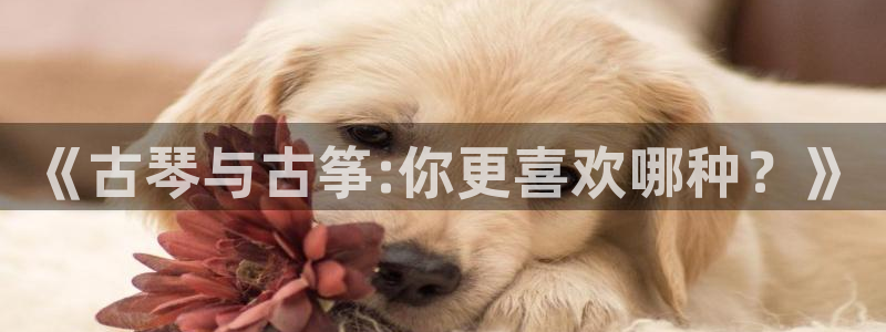 凯发官网登录免费下载
