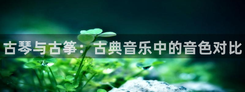凯发网站是多少