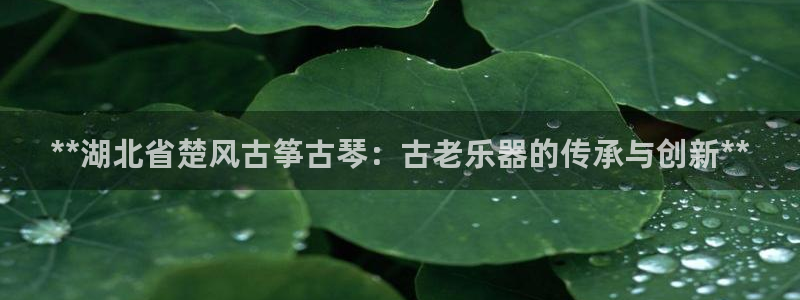 凯发网址直营