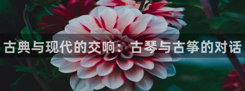凯发娱乐k8国际