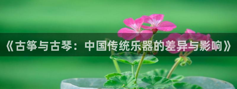 凯发注册网站：《古筝与古琴：中国传统乐器的差异与影响》
