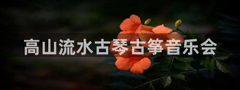 凯发官网入口首页：高山流水古琴古筝音乐会