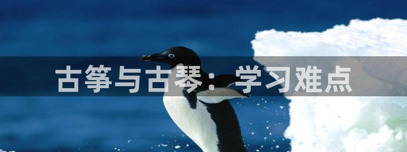 凯发国际是什么