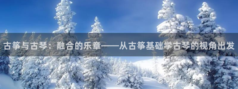 凯发平台开户：古筝与古琴：融合的乐章——从古筝基础学古琴的视