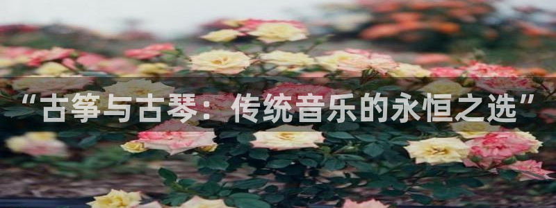 凯发k8娱乐：“古筝与古琴：传统音乐的永恒之选”