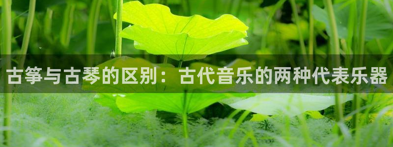 凯发k8登录首页：古筝与古琴的区别：古代音乐的两种代表乐器