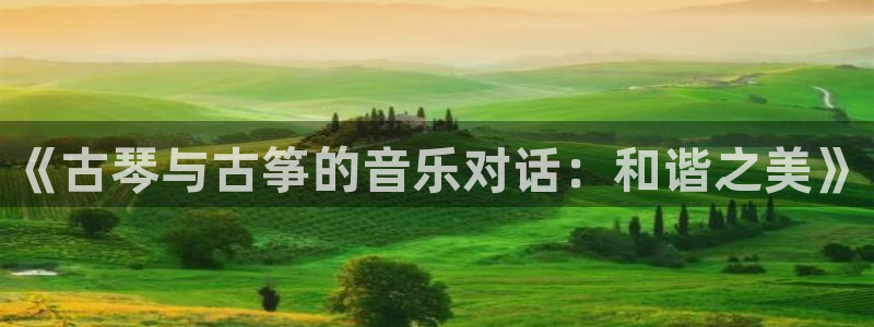 凯发k8手机是正品吗：《古琴与古筝的音乐对话：和谐之美》